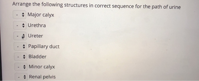 Solved Arrange the following structures in correct sequence | Chegg.com