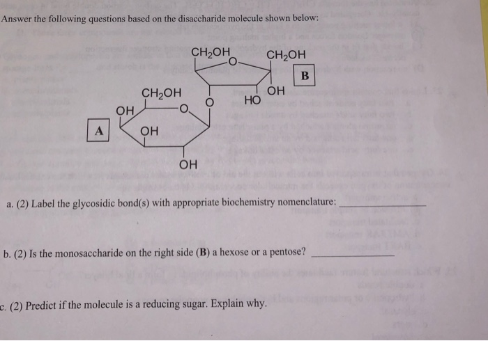 Answer The Following Questions Based On The Chegg Com