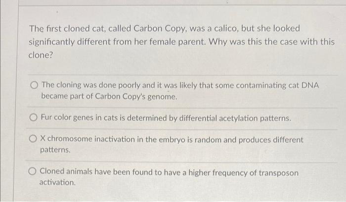 The first cloned cat, called Carbon Copy, was a calico, but she looked
significantly different from her female parent. Why wa