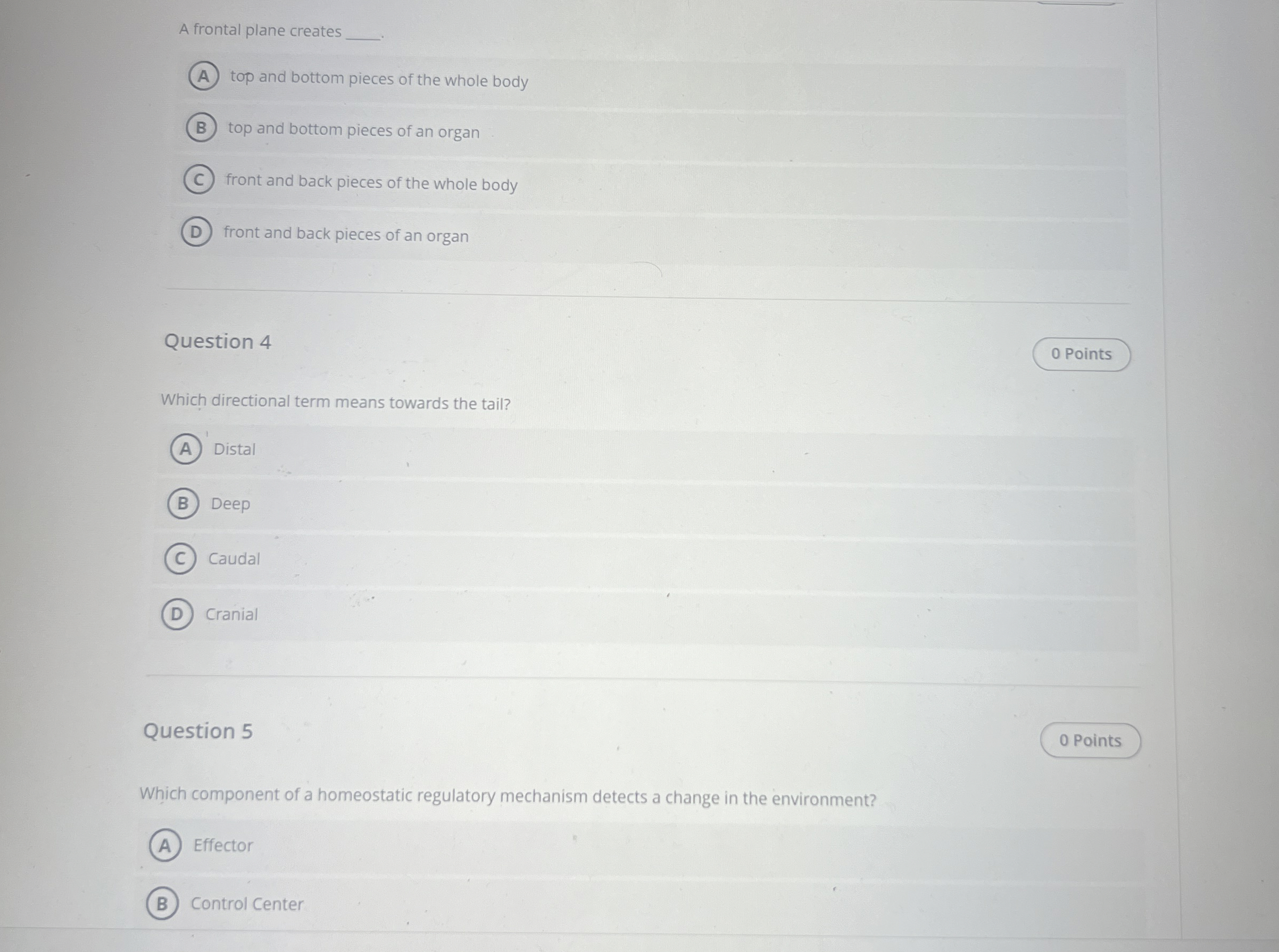 Solved A frontal plane creates.top and bottom pieces of the