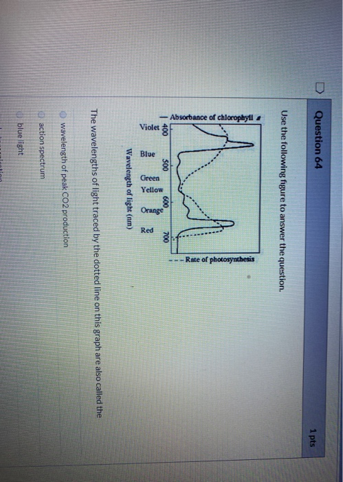 Solved Question 64 1 pts Use the following figure to answer | Chegg.com