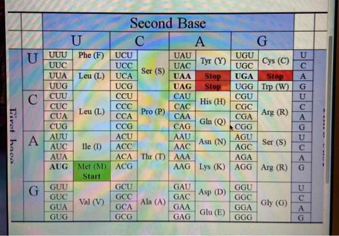 Solved Question Points Using The Codon Table Here Chegg Com