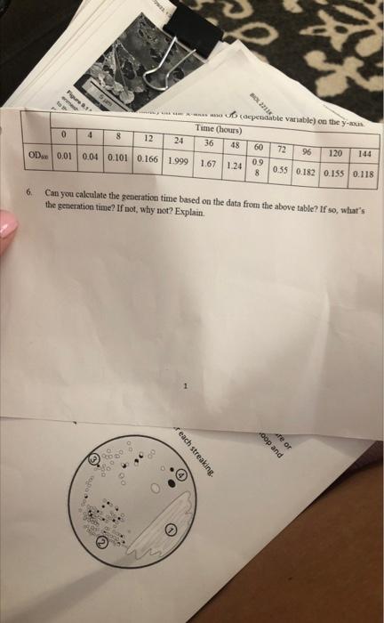 Solved 6. Can you calculate the generation time based on the | Chegg.com
