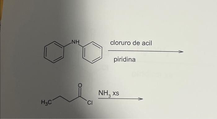 cloruro de acil piridina \( \stackrel{\mathrm{NH}_{3} \mathrm{xs}}{\longrightarrow} \)