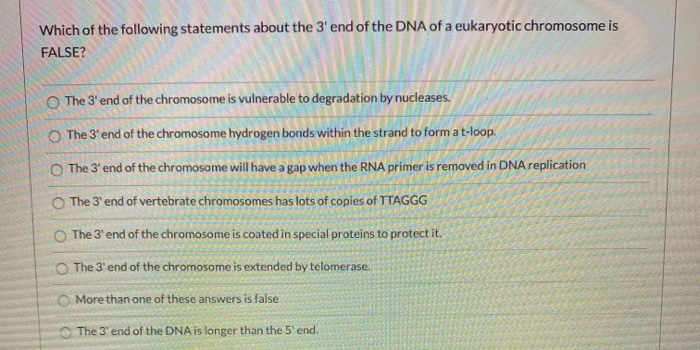 following statements about the 3 end