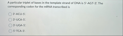 Solved A particular triplet of bases in the template strand Chegg com