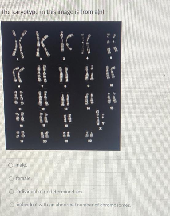 Solved In a diploid cell, there are alleles for a given gene | Chegg.com