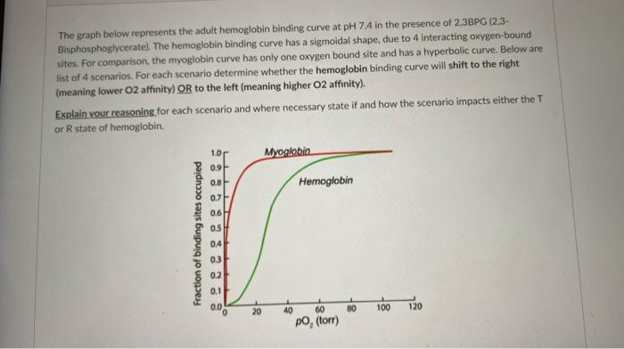 The graph below represents the adult hemoglobin binding curve at \( \mathrm{pH} 7.4 \) in the presence of \( 2,3 \mathrm{BPG}