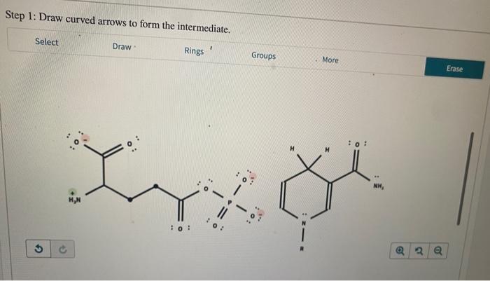 Solved Glutamate-5-semialdehyde dehydrogenase converts | Chegg.com