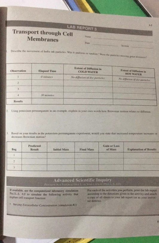 solved-lab-report-3-3-5-transport-through-cell-membranes-chegg