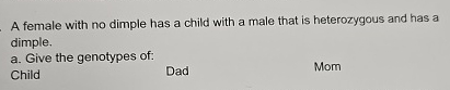 Solved A female with no dimple has a child with a male that | Chegg.com