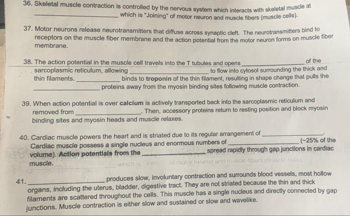 Solved 36. Skeletal muscle contraction is controlled by the | Chegg.com