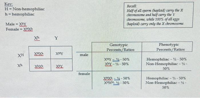 Solved Sex Linked Practice Problems 1 In Humans 4675