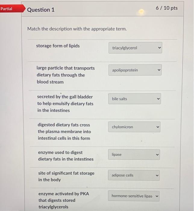 Solved Partial Question 1 6 / 10 pts Match the description | Chegg.com