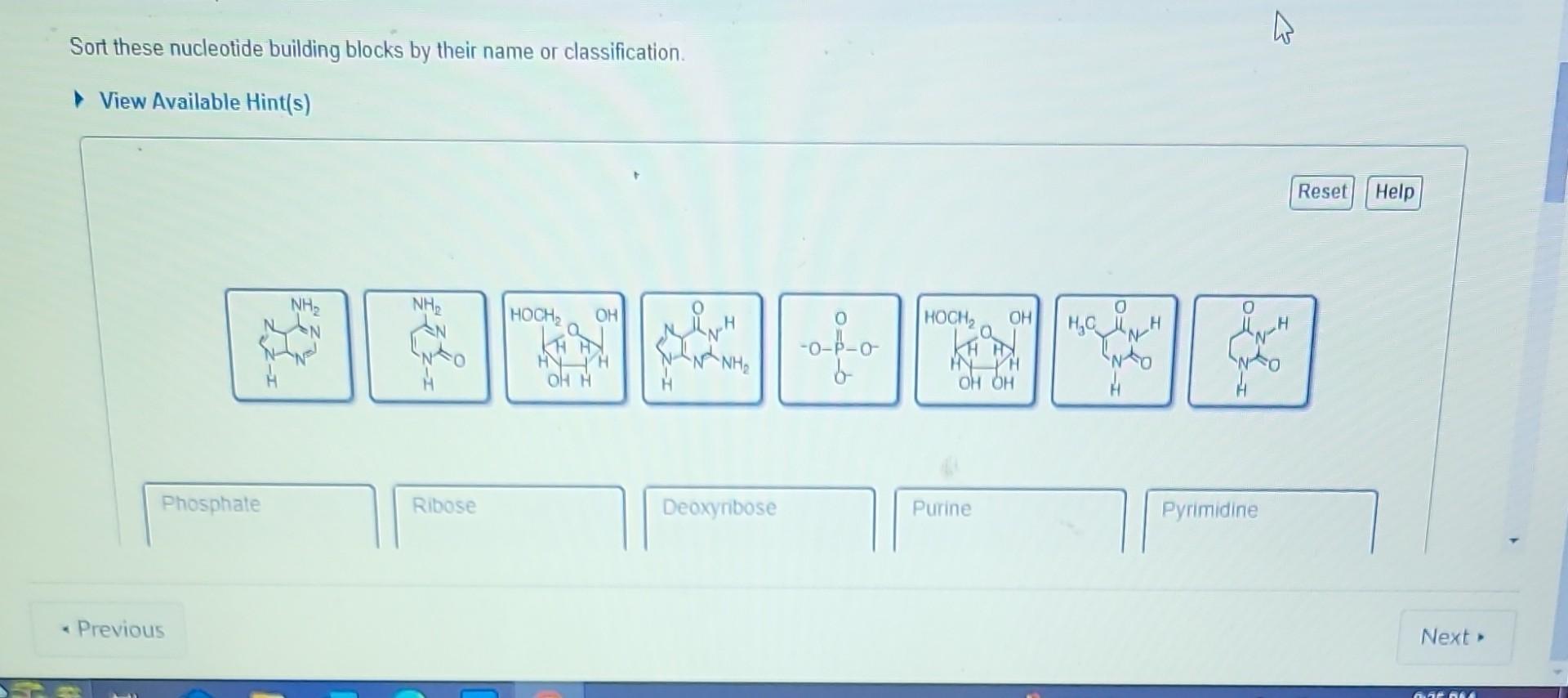 Solved Sort these nucleotide building blocks by their name