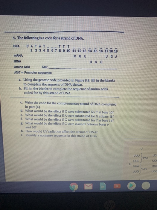 Solved 4. The following is a code for a strand of DNA. DNA | Chegg.com