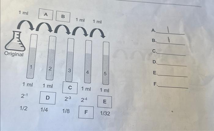 n 3 l 2 ml =- 1 ms =- 1 2 element