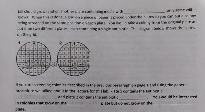 Solved The other method of insertional inactivation involves | Chegg.com