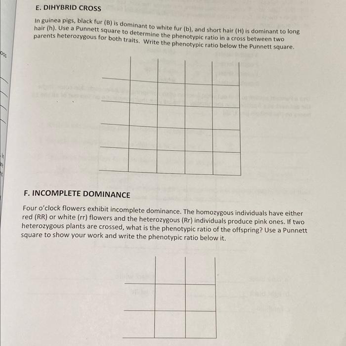 Solved E. DIHYBRID CROSS In Guinea Pigs, Black Fur (B) Is | Chegg.com