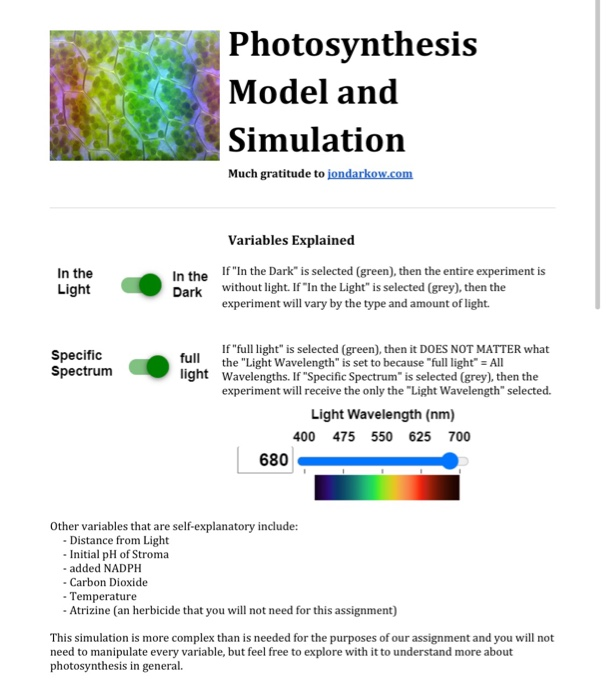 Solved Photosynthesis Model And Simulation Much Gratitude To Chegg Com