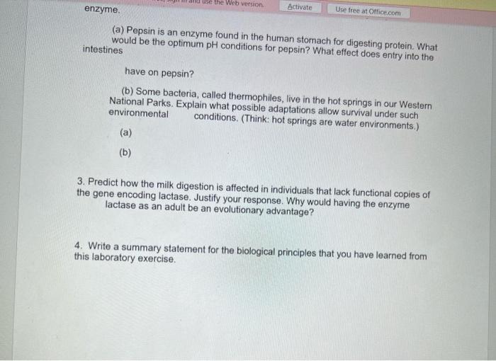 Solved Lactase Enzyme Activity Introduction Enzymes are
