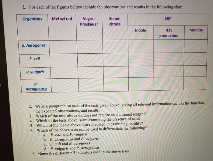 Solved please please help me answer all these questions and | Chegg.com