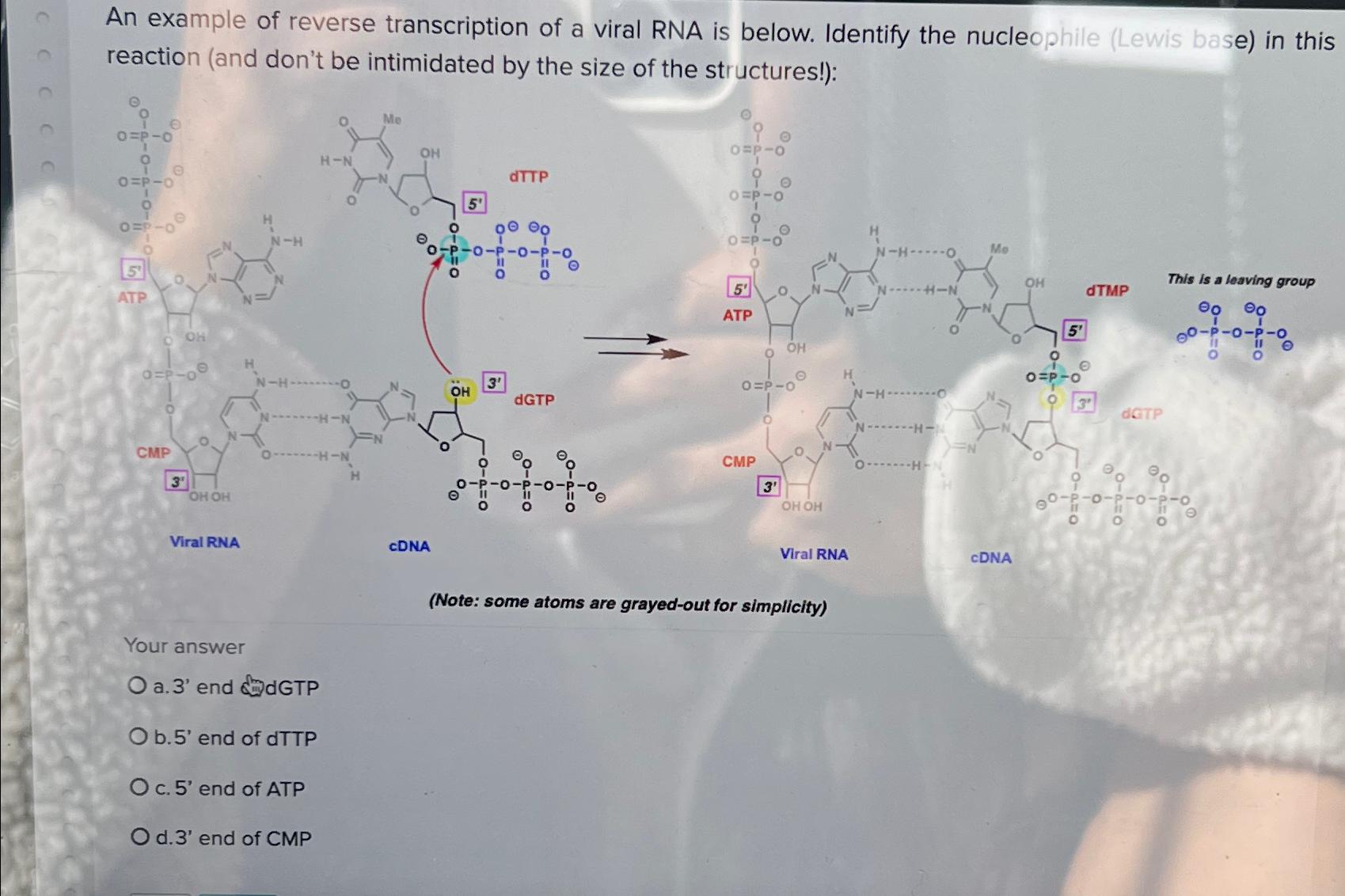 Solved An example of reverse transcription of a viral RNA is | Chegg.com