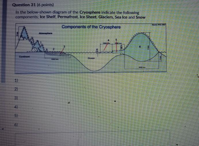 Solved Question 31 (6 points) In the below-shown diagram of | Chegg.com
