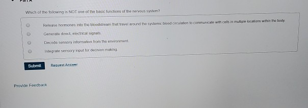 Solved Which of the following is NOT one of the basic | Chegg.com