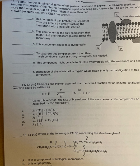 13. (6 pts) Use the simplified diagram of the plasma | Chegg.com