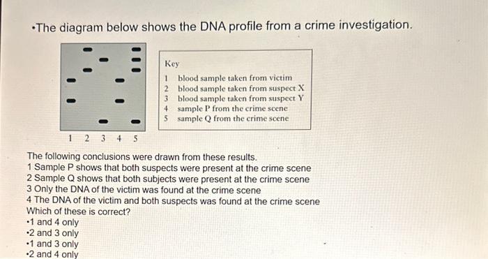Solved - The diagram below shows the DNA profile from a | Chegg.com