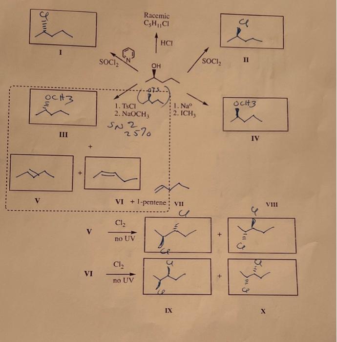Solved for the reactions forming compound III, what is the | Chegg.com