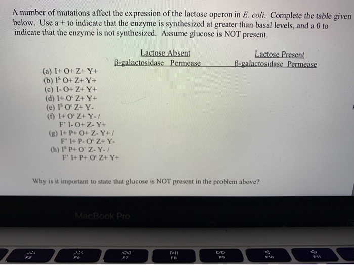 Solved A Number Of Mutations Affect The Expression Of The Chegg Com