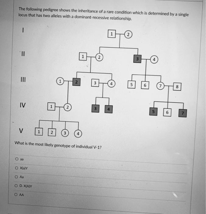 Solved The Following Pedigree Shows The Inheritance Of A | Chegg.com