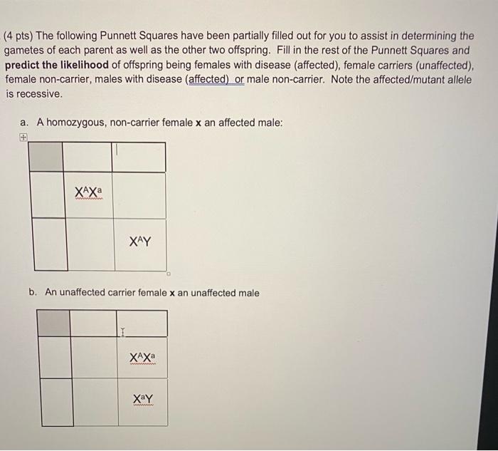 Solved (4 Pts) The Following Punnett Squares Have Been | Chegg.com