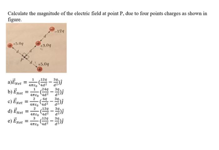 Solved Calculate the magnitude of the electric field at | Chegg.com