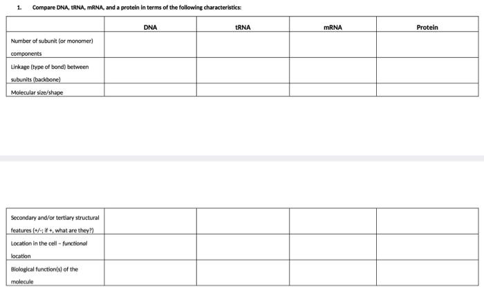 Solved 1 Compare DNA, tRNA, mRNA, and a protein in terms of | Chegg.com
