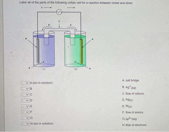 Solved In the electrolysis of 1.0 M ZnCl2 solution, what | Chegg.com