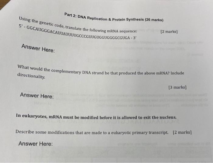 Solved Part 2: DNA Replication & Protein Synthesis (26 | Chegg.com