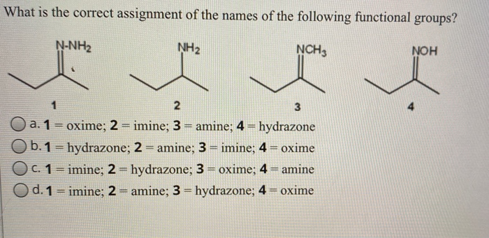 Solved What Is The Correct Assignment Of The Names Of The | Chegg.com