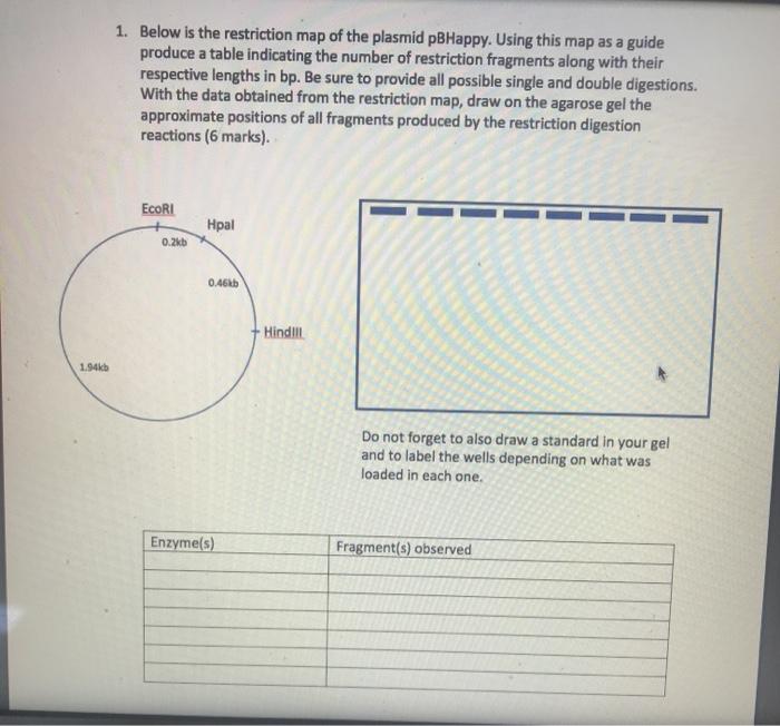 Solved 1. Below is the restriction map of the plasmid | Chegg.com