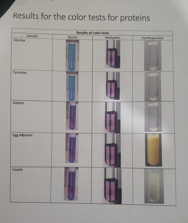Solved Peptides and Proteins D. Color Tests for Proteins