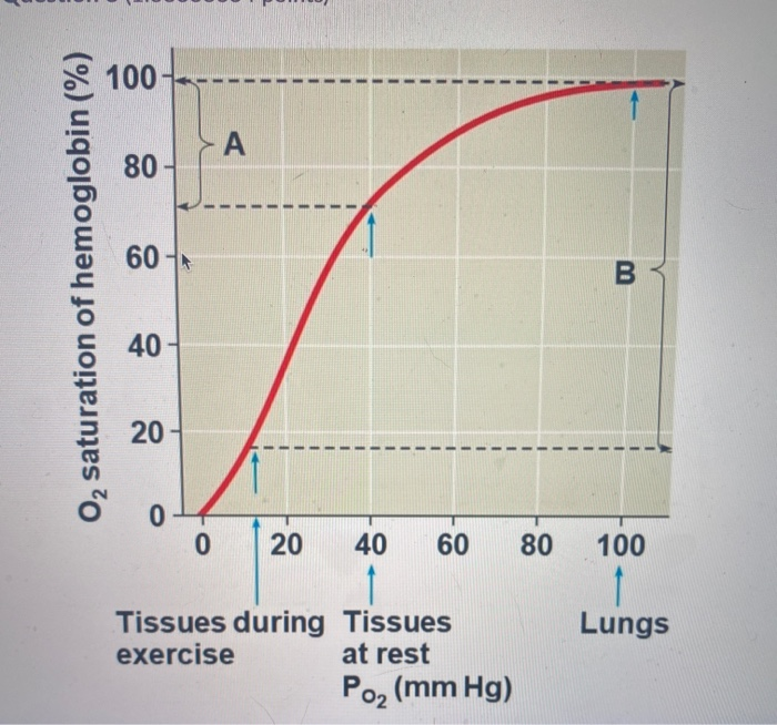 Solved O, Saturation Of Hemoglobin (%) - - - - - - - - - - - | Chegg.com