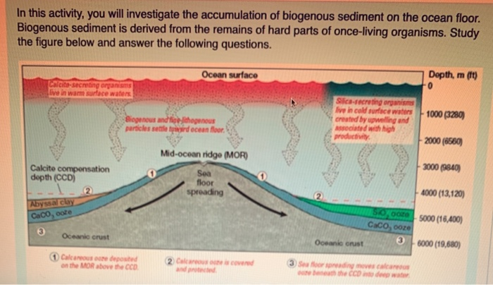 Solved In this activity, you will investigate the | Chegg.com