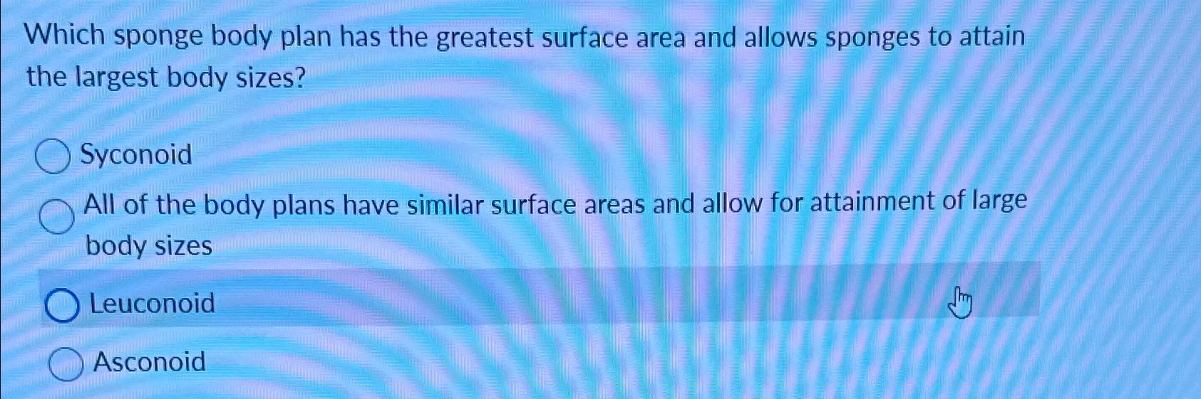 Solved Which sponge body plan has the greatest surface area