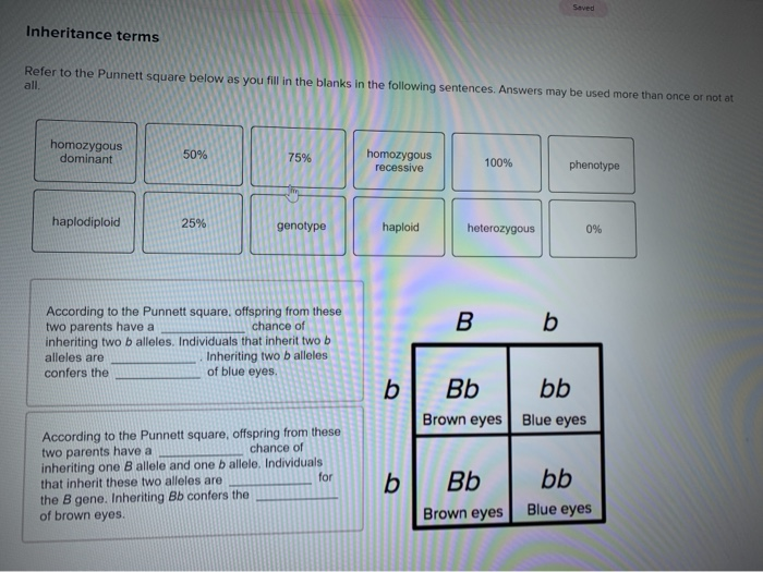 Solved Saved Inheritance Terms Refer To The Punnett Square Chegg Com