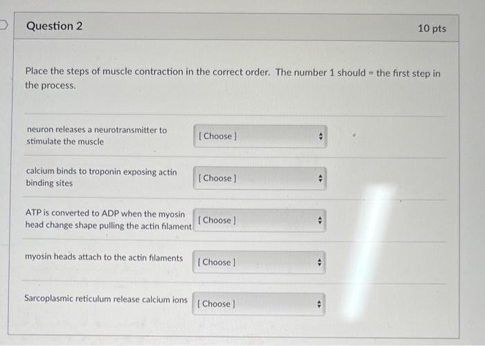 Solved Place the steps of muscle contraction in the correct | Chegg.com
