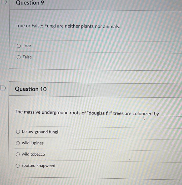True or False Fungi are neither plants nor animals.
