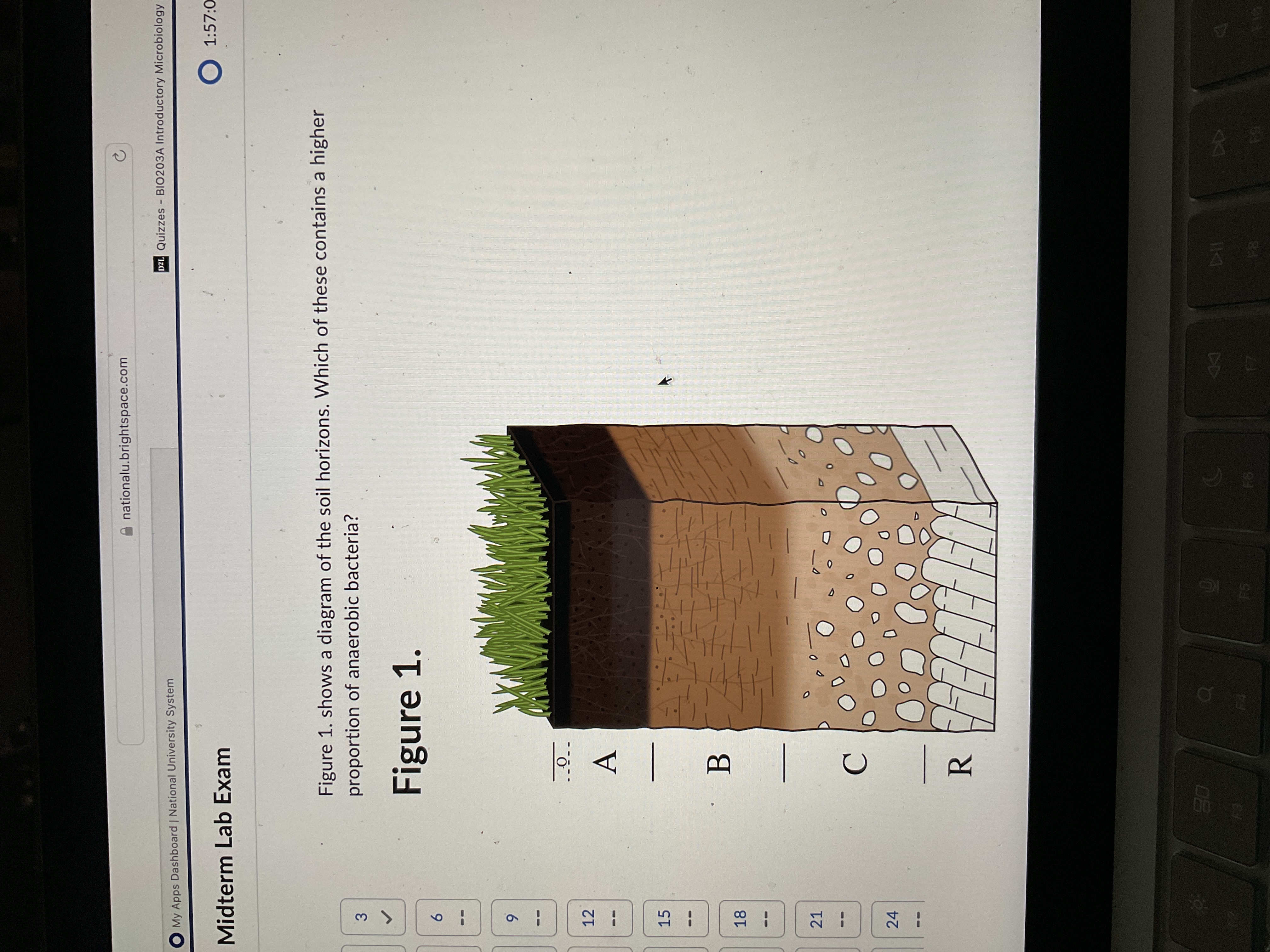 Solved Figure 1. ﻿shows a diagram of the soil horizons. | Chegg.com