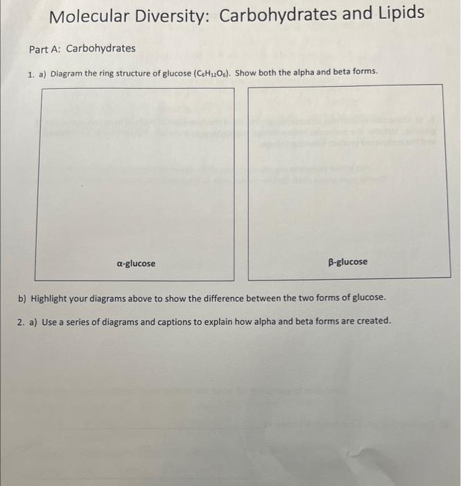 Ch25: Alpha And Beta Forms | Transformation of the α- and β-Forms of ...